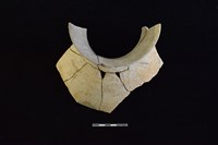 陶罐藏品圖，第2張